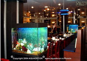 Парные аквариумы в интерьере ресторана.