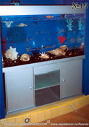 Внутри аквариума на своеобразной этажерке из прозрачного акрилового стекла размещена коллекция кораллов и морских раковин. Цепочки пузырьков воздуха причудливо извиваются, встречая на своем пути прозрачные преграды.