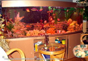 В оформлении декоративного аквариума использована тема затонувших кораблей. Применена цветная подсветка.