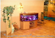 Аквариум в интерьере частного дома дополняет интерьер комнаты с бассейном.