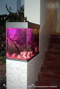 По желанию заказчика при подсветке аквариума можно использовать цветные лампы.