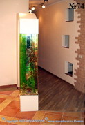 Узкий аквариум (вид с торца) визуально отделяет комнату от коридора.