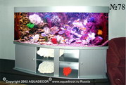 Стайки селеноток, аргусов и монодактилусов весело резвится в аквариуме на фоне морских кораллов.