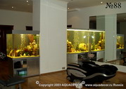 Такой аквариум размещается в крупном помещении или торговом зале.