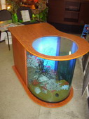 «Сухой» аквариум конструктивно совмещен со столом.
