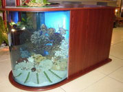 Подсветка аквариума-столика осуществляется при помощи люминесцентных ламп, встроенных в аквариум.