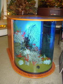 Аквариум-столик декорирован кораллами и цветной галькой.