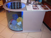 Композиция из кораллов и морских раковин в сухом аквариуме-столике имитирует морское дно.
