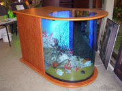 Сухой аквариум-столик - оригинальное и несложное в уходе украшение интерьера.
