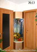 В углу прихожей между двумя дверями разместился высокий угловой аквариум, декорированный кораллами.