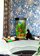 Все домочадцы, включая и кошку, увлечены созерцанием рыбок в небольшом угловом аквариуме.