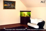 Цвет тумбы и крышки углового аквариума подобран под цвет обивки мебели гостиной.