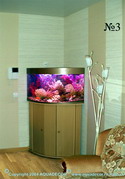 Угловой аквариум с полукруглой передней стенкой прекрасно вписывается в пустующий угол комнаты.