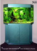 Угловой аквариум в голландском стиле.