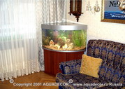 Угловой полукруглый аквариум в интерьере гостиной.