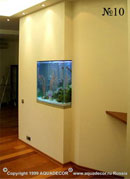 Изготовленный по индивидуальному проекту встроенный аквариум повторяет сложный изгиб стены.