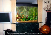 Встроенный в стенной проем аквариум является украшением рабочего кабинета