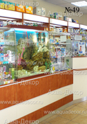 Оригинальным решением оформления аптеки является встроенный аквариум компании Аква-Декор.