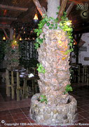 Несущие колонны в зале ресторана превращены в декоративные водопады, вода из которых стекает в облицованный камнем круглый бассейн.