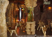 Сказочную атмосферу интерьера ресторана поддерживают оригинальный аквариум-колонна и загадочно искрящаяся водная панель в глубине зала.