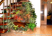 Еще один вариант сочетания лестницы и декоративного водопада, оформленного растениями. В большом бассейне простор для тропических водяных черепах.
