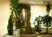 Декоративный водопад органично выглядит среди пышных «зарослей» комнатных тропических растений.